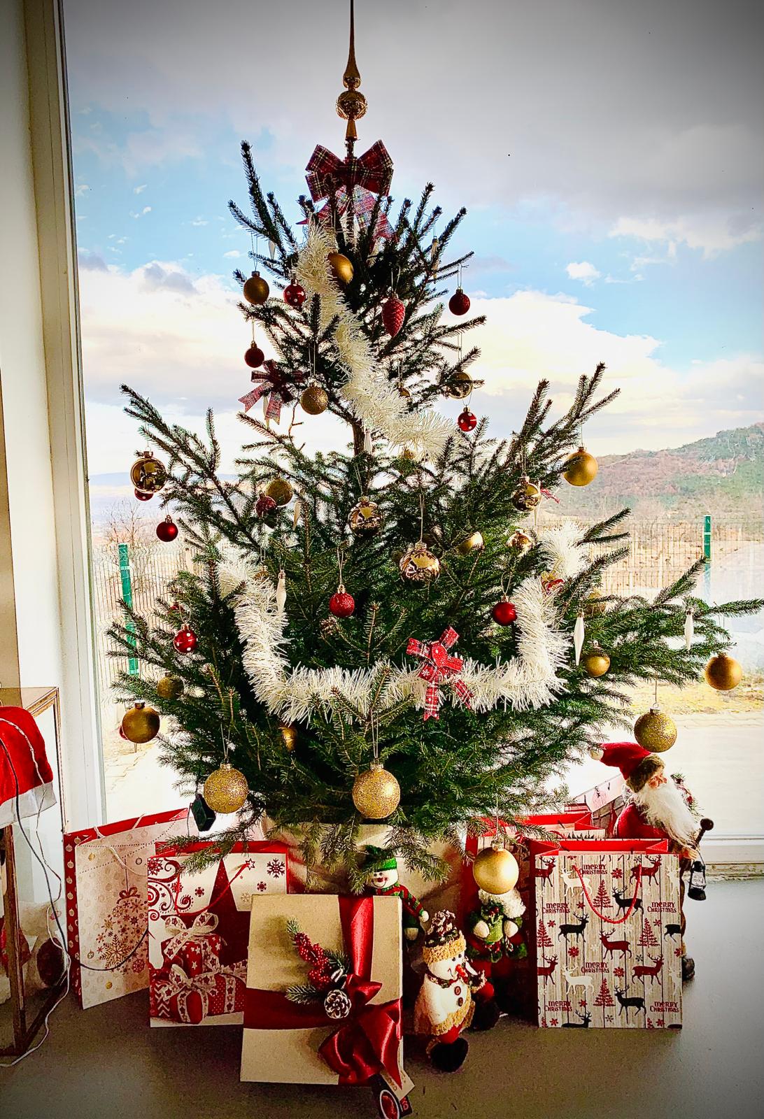 🌲 Merry Christmas 🎄 Frohe Weihnachten! ✨ Среќен Божиќ! 🎁 Gëzuar Krishtlindjet! 🌟