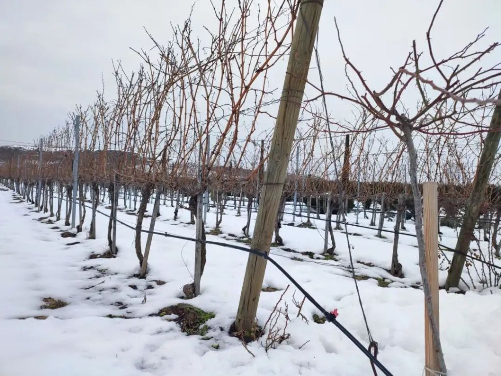 What does the Macedonian tourist wine tour&nbsp;offer?