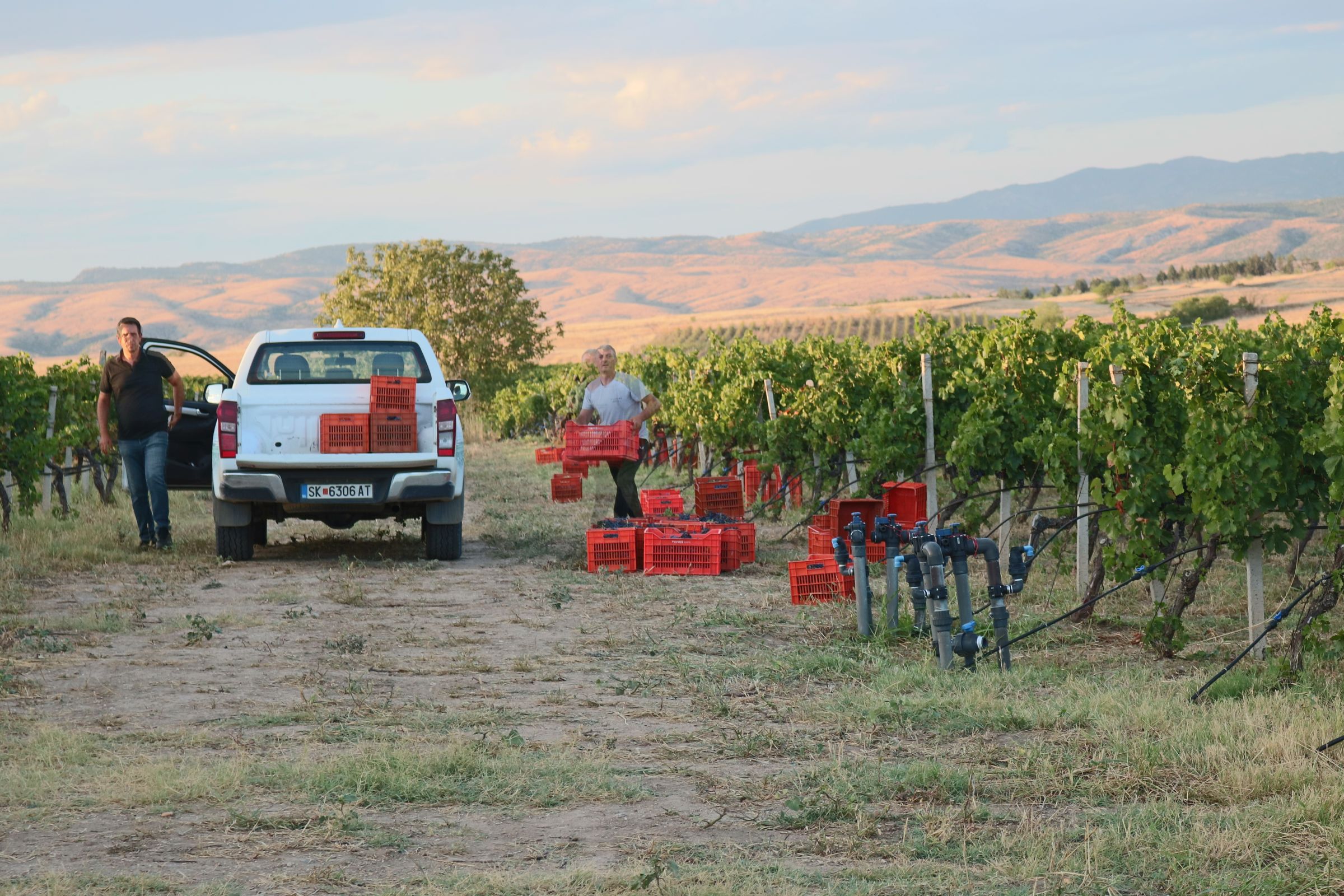 ProWein 2026 – what wine will we drink tomorrow?